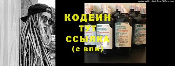 дживик Богородск