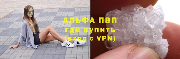 дживик Богородск