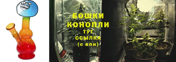 дживик Богородск